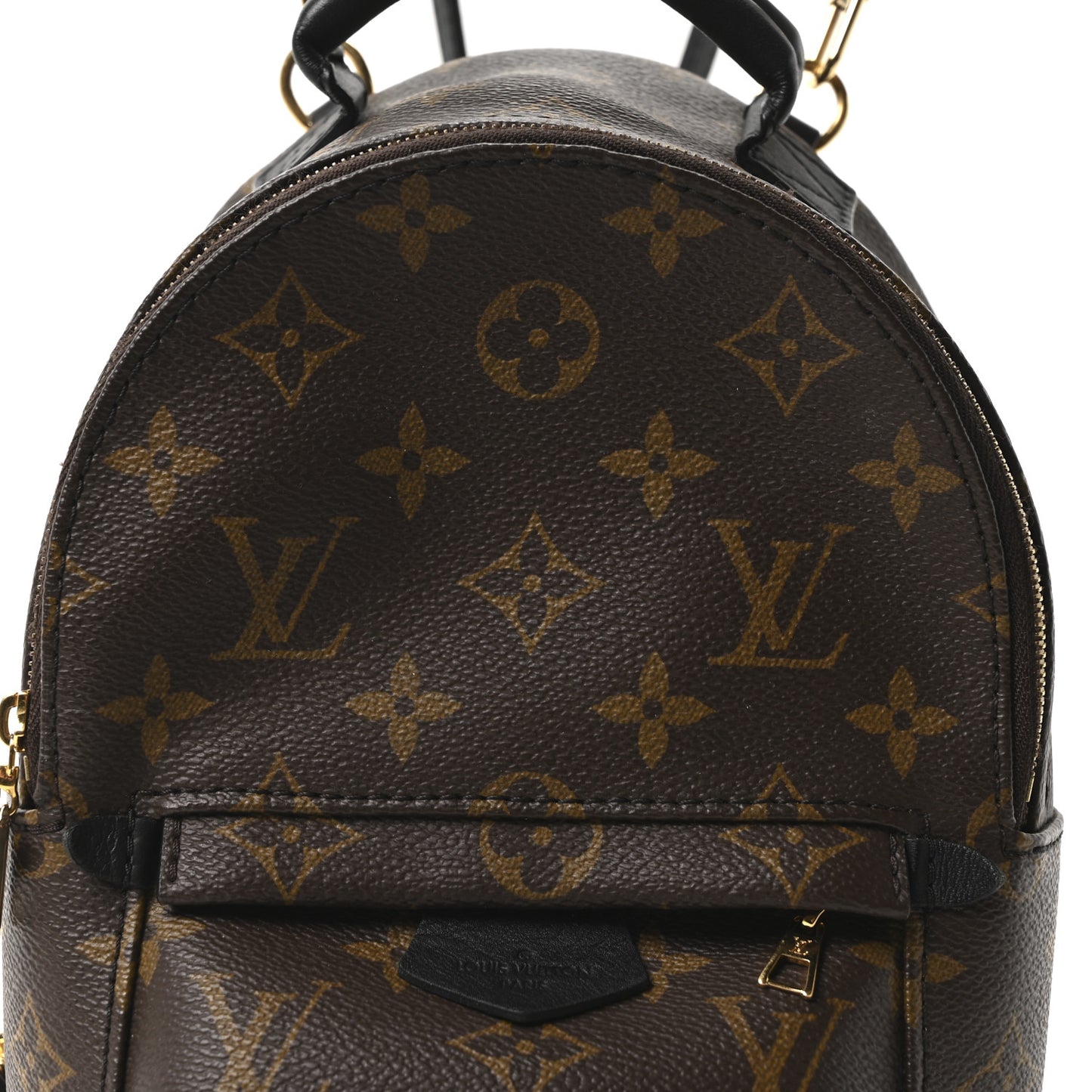 Monogram Palm Springs Backpack Mini