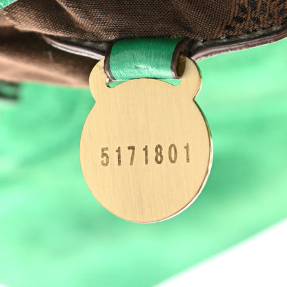 Mulberry Soft Buffalo Medium Alexa Aqua Green 7 of 12