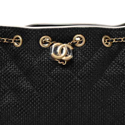 Chanel Braided Raffia Calfskin Quilted Mini Chanel 25 Handbag Black White 8 of 11