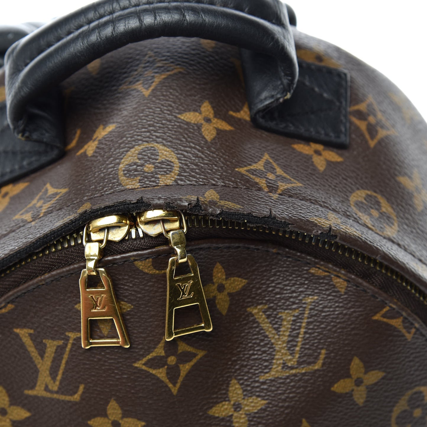 Monogram Palm Springs Backpack PM
