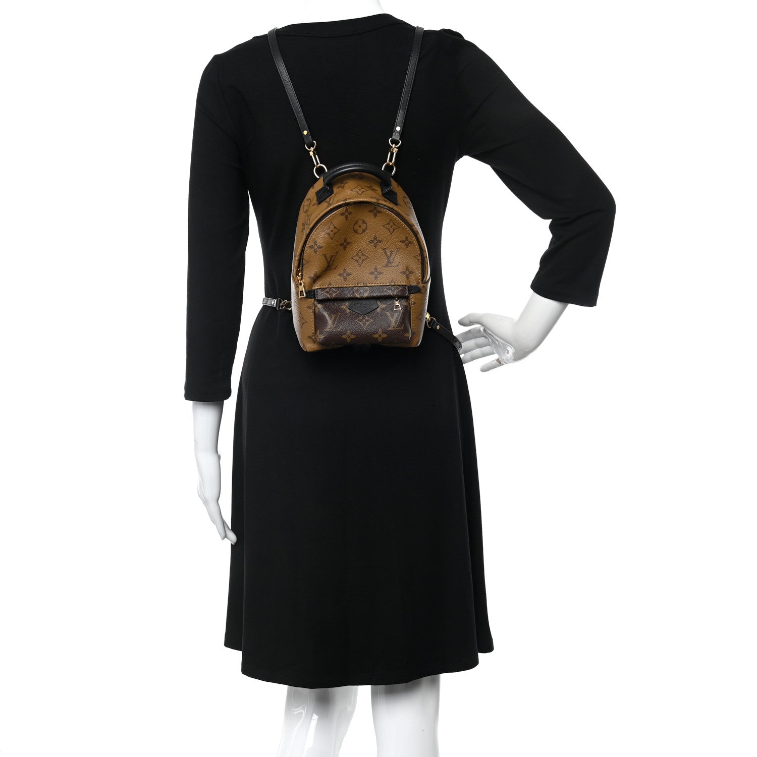 Louis Vuitton Reverse Monogram Palm Springs Backpack Mini 2 of 9