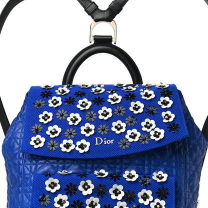 Christian Dior Lambskin Mesh Cannage Embroidered Large Stardust Backpack Blue 9 of 19