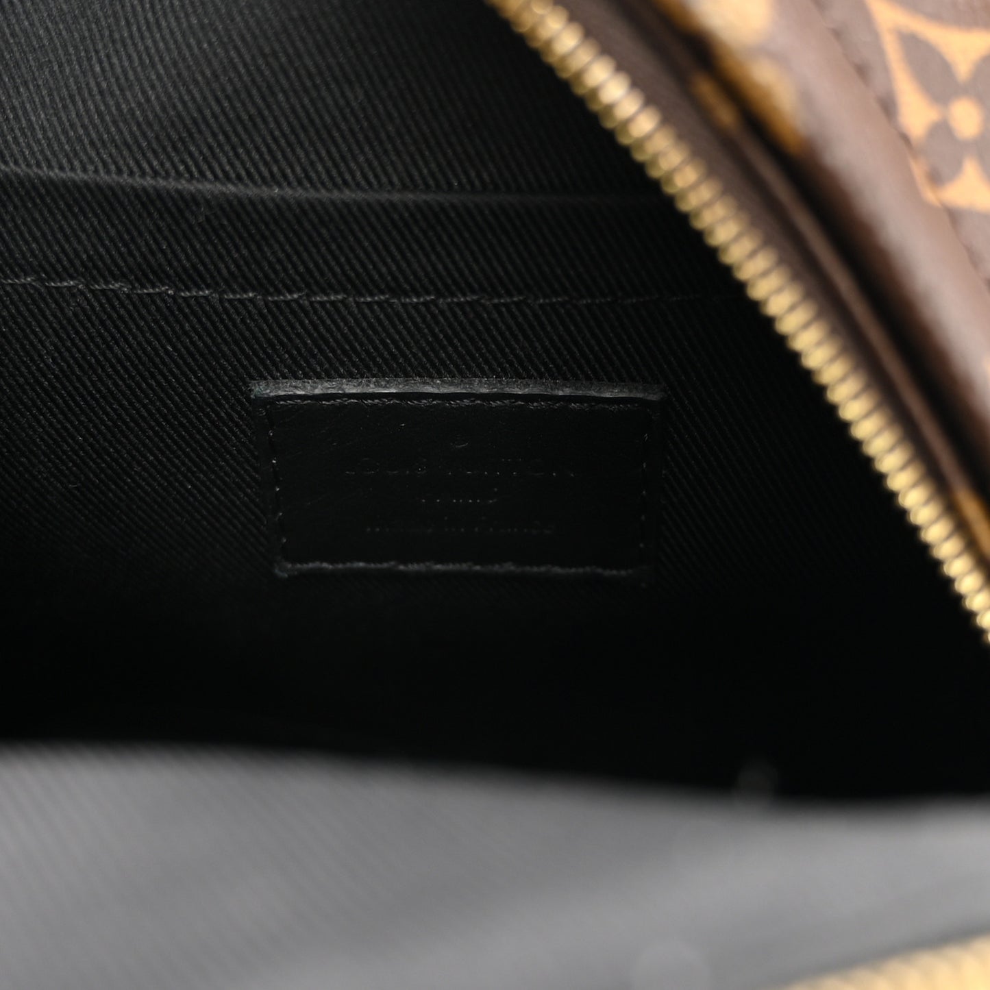 Monogram Palm Springs Backpack Mini