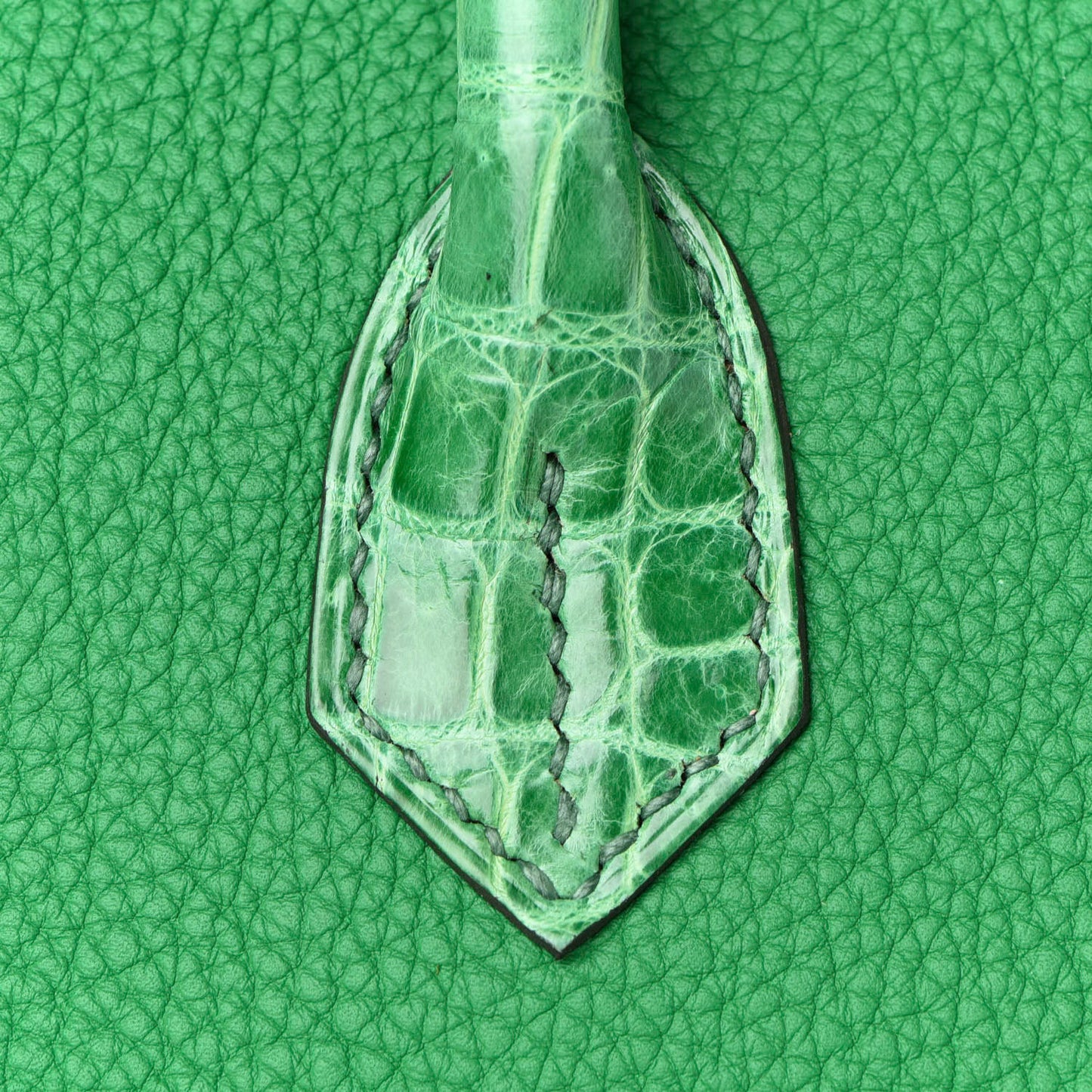 Togo Shiny Niloticus Crocodile Birkin Touch 30 Bamboo Cactus