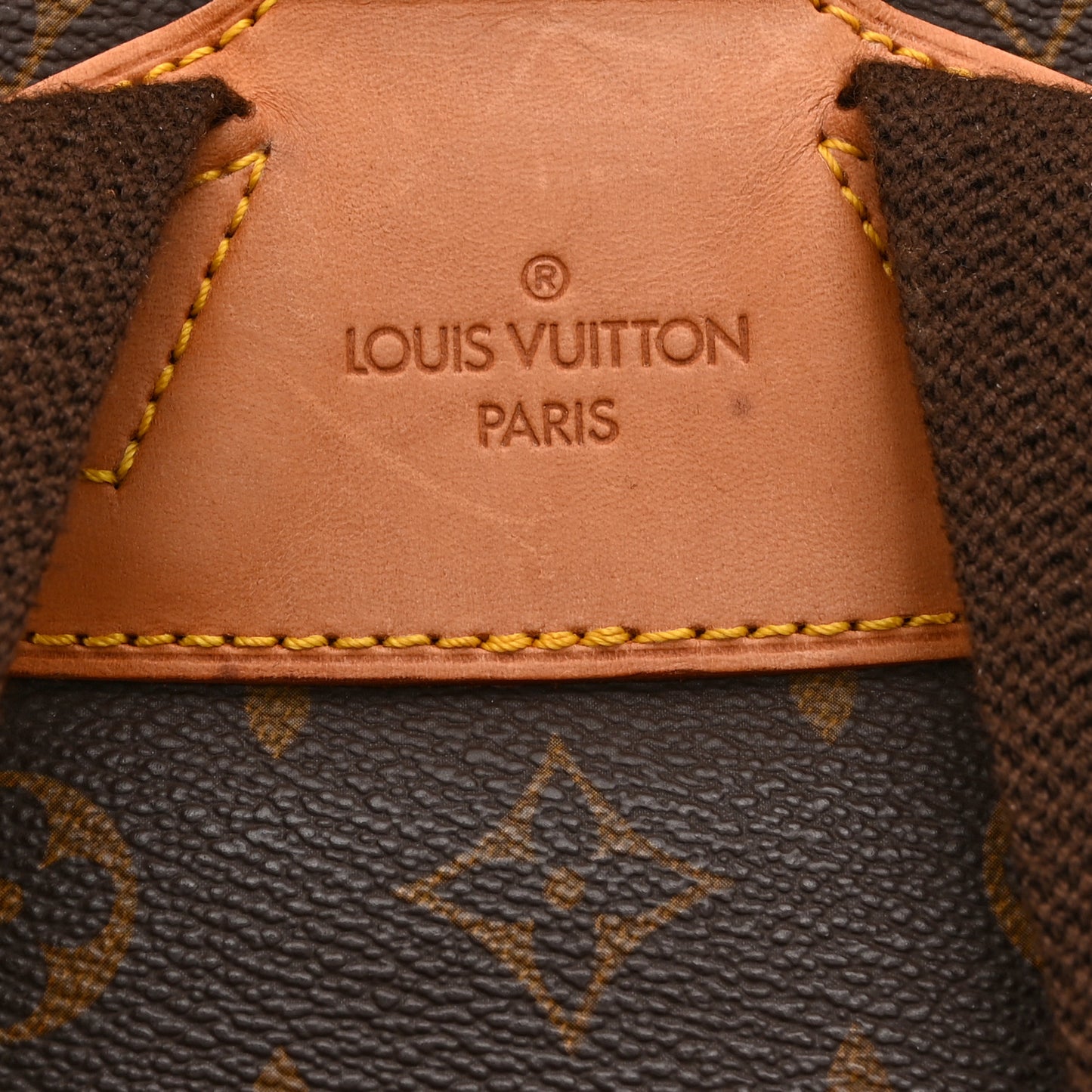 Monogram Montsouris GM Backpack