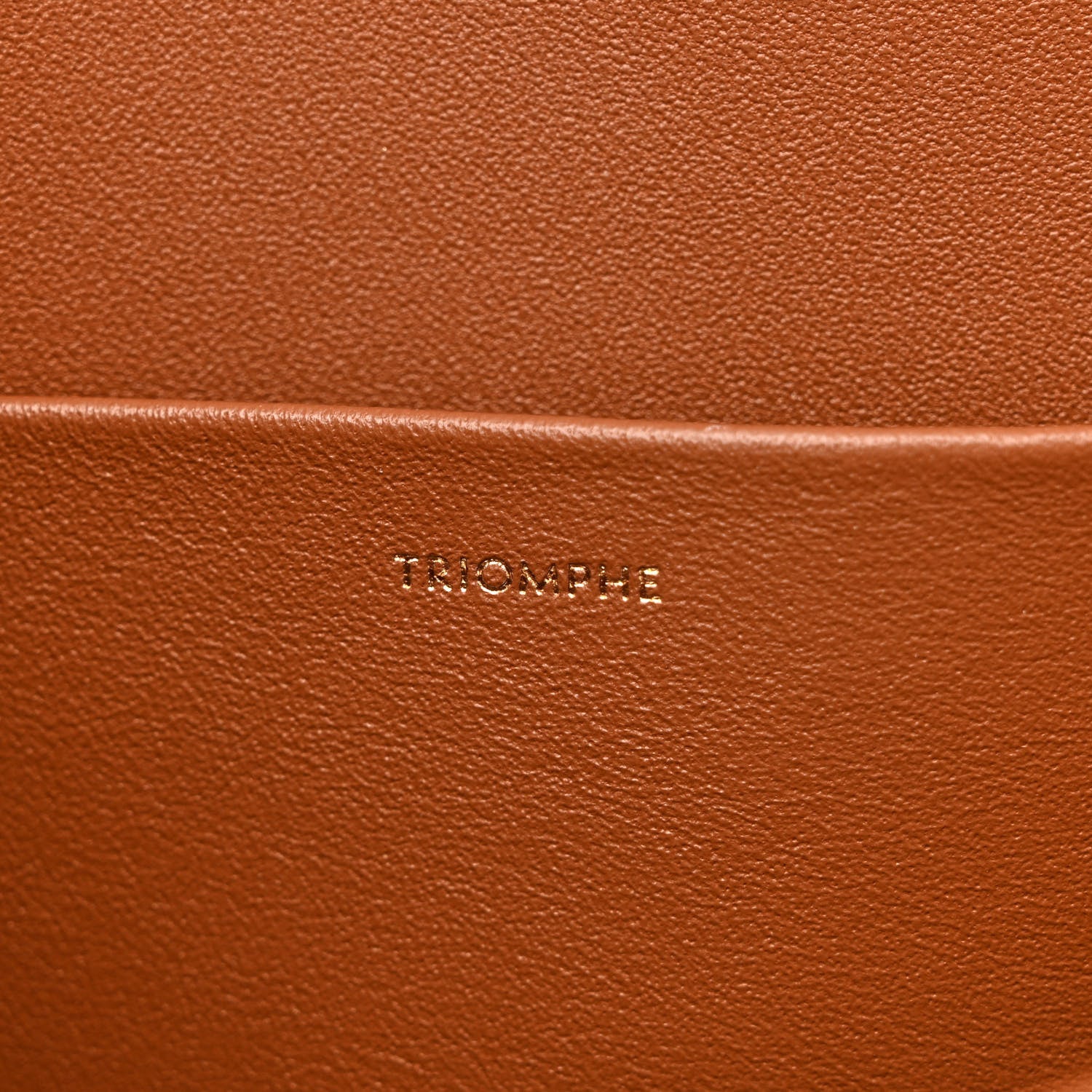Celine Natural Calfskin Triomphe Tan 9 of 14