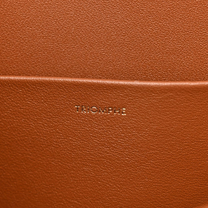 Celine Natural Calfskin Triomphe Tan 9 of 14