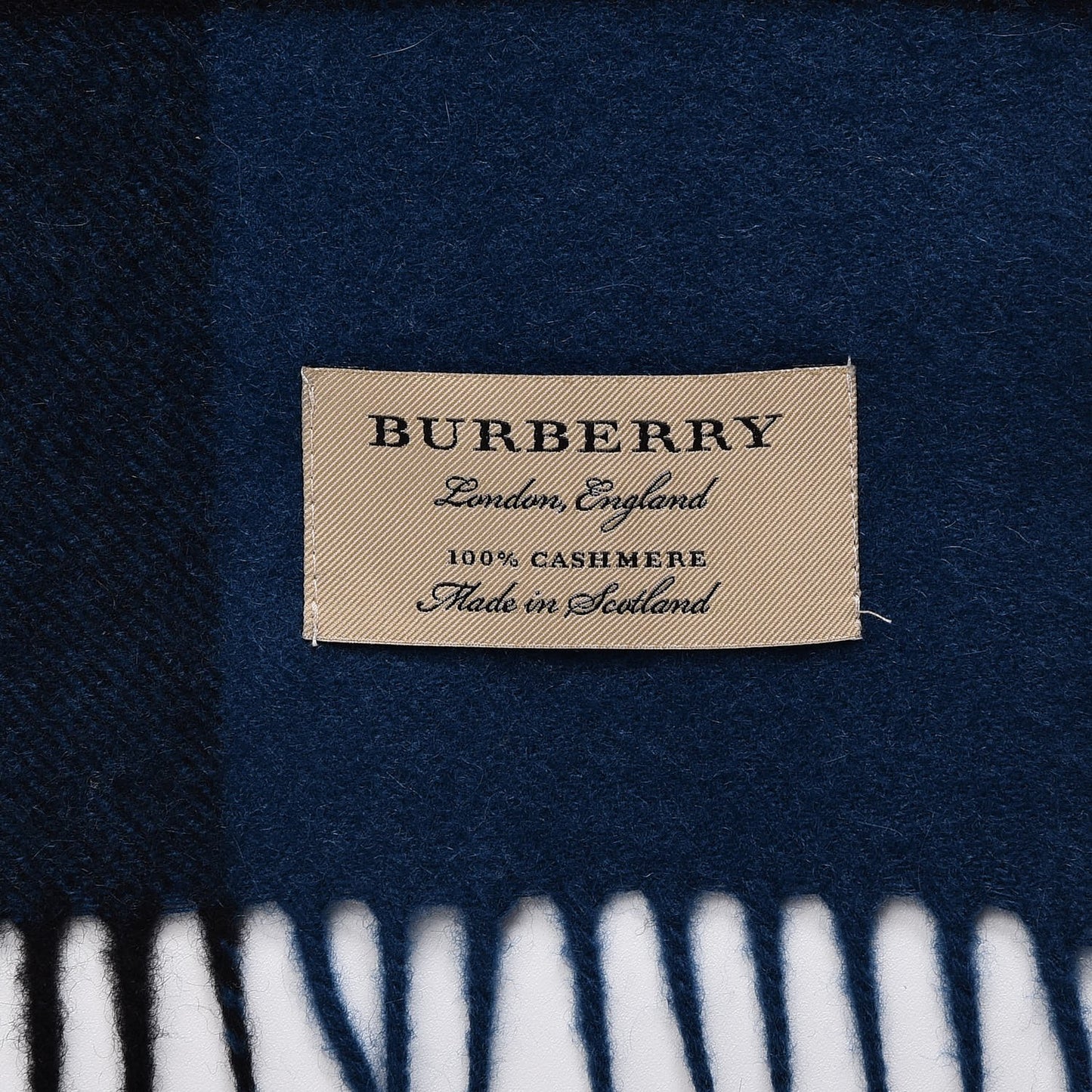 Cashmere Giant Check Fringe Scarf Blue