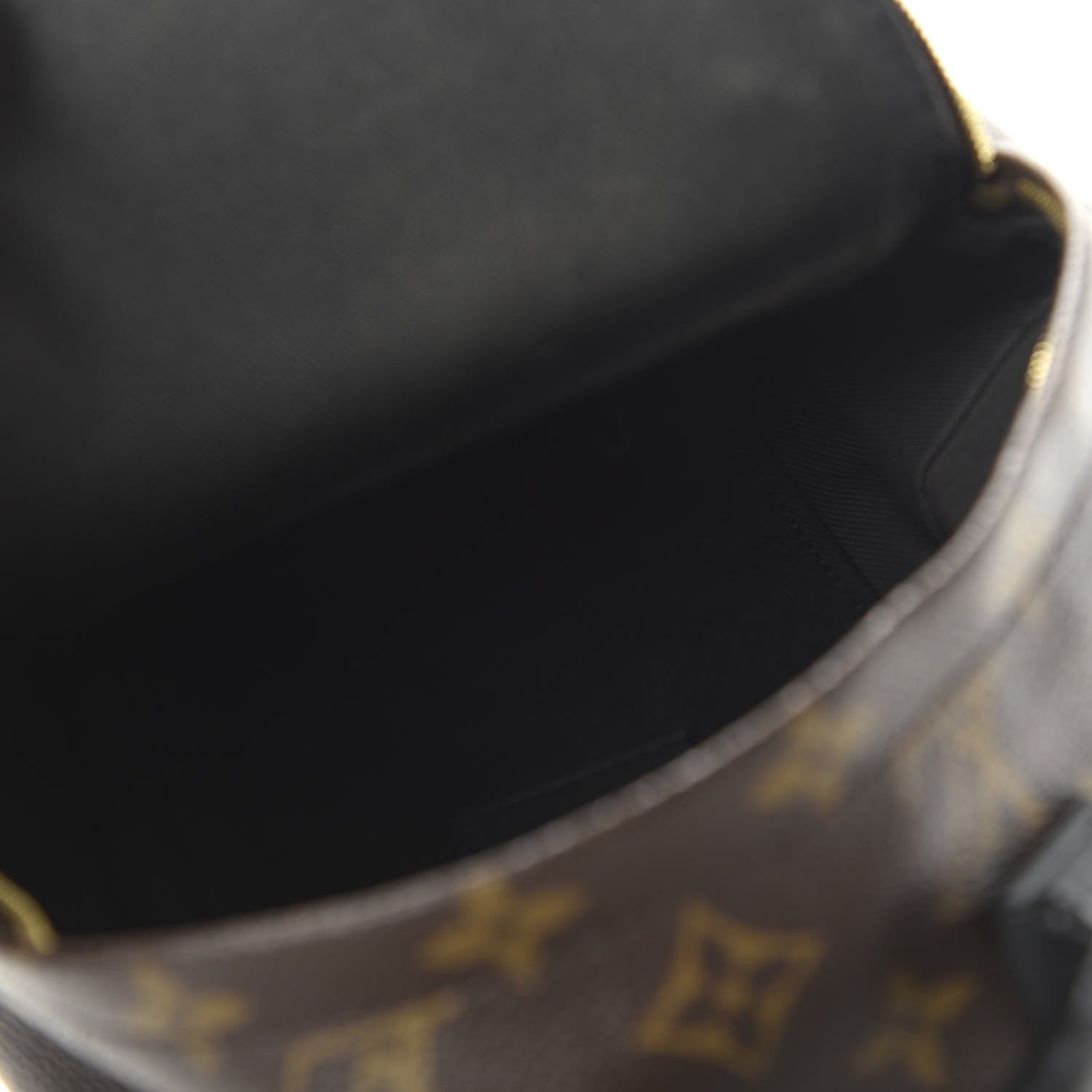 Louis Vuitton Monogram Palm Springs Backpack Mini 4 of 9