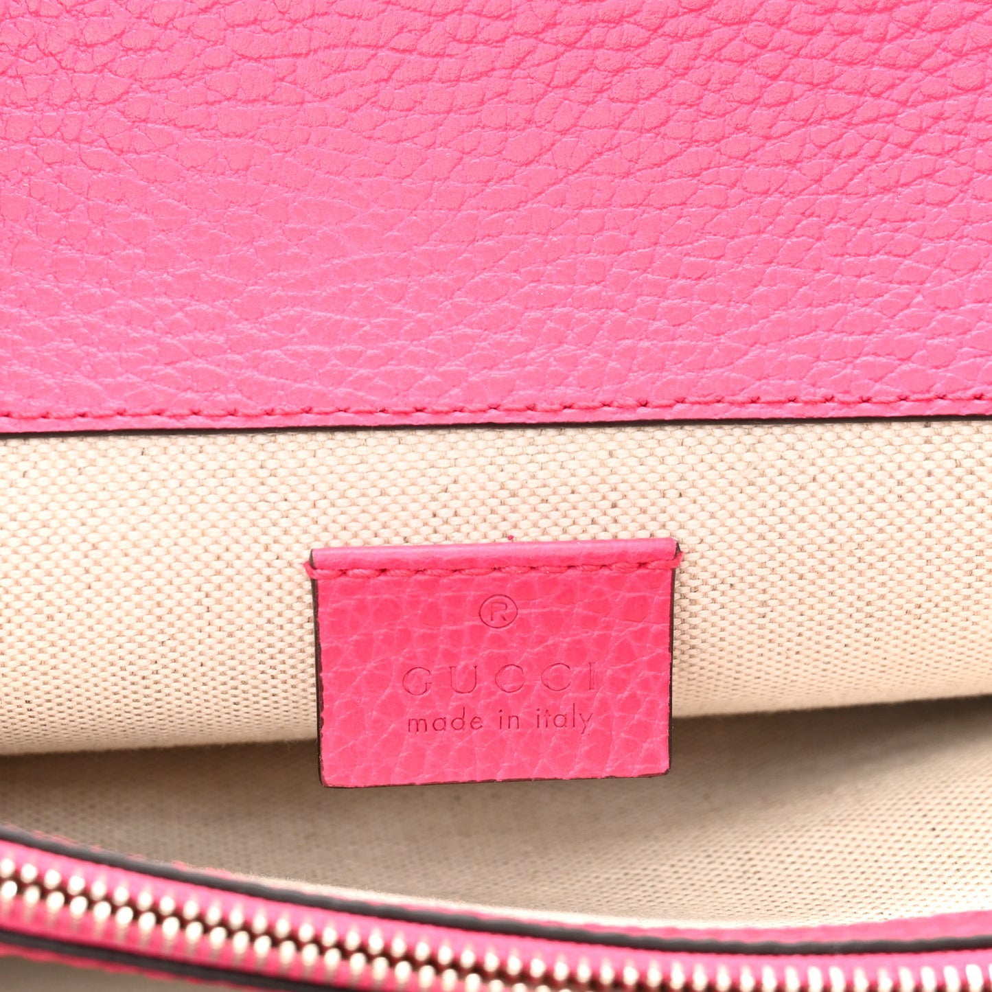 Pebbled Calfskin Embellished Guccify Small Dionysus Shoulder Bag Rosa