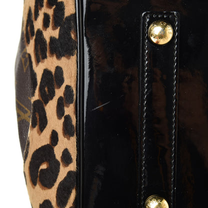 Louis Vuitton Monogram Leopard Stephen Bag 14 of 16