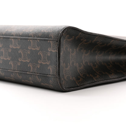 Celine Triomphe Canvas Calfskin Small Vertical Cabas Tan 10 of 10