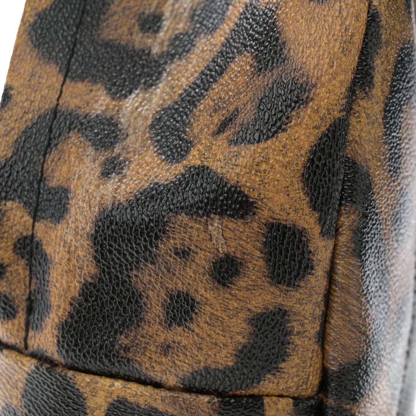 Wild Animal Print Palm Springs Backpack PM