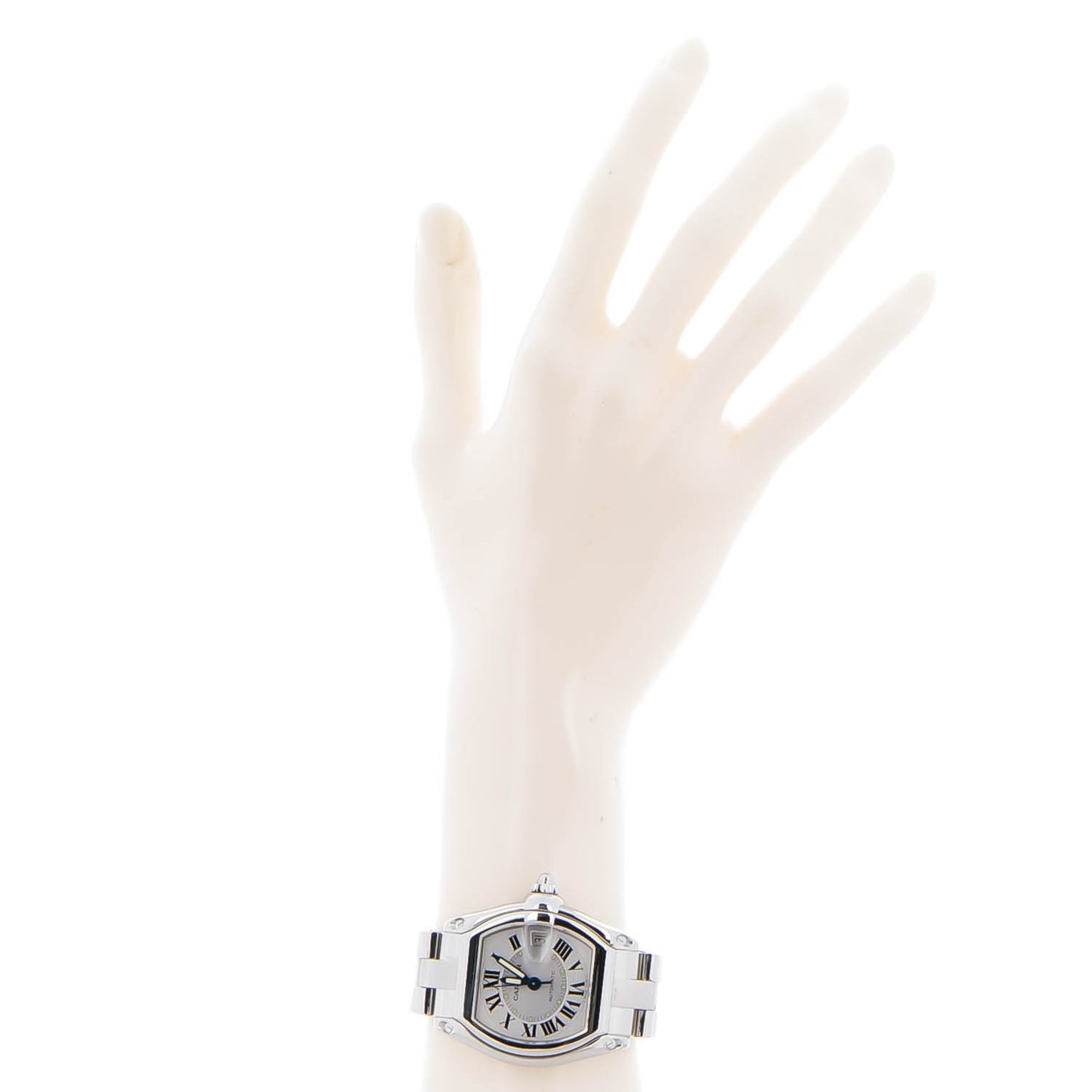 Stainless Steel 37mm Roadster Automatic Watch