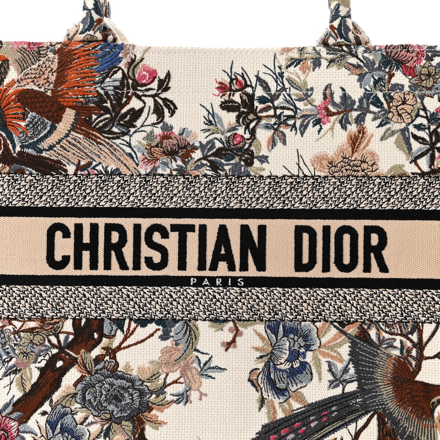 Christian Dior Canvas Embroidered Medium Jardin D'Hiver Book Tote Latte Multicolor 5 of 11