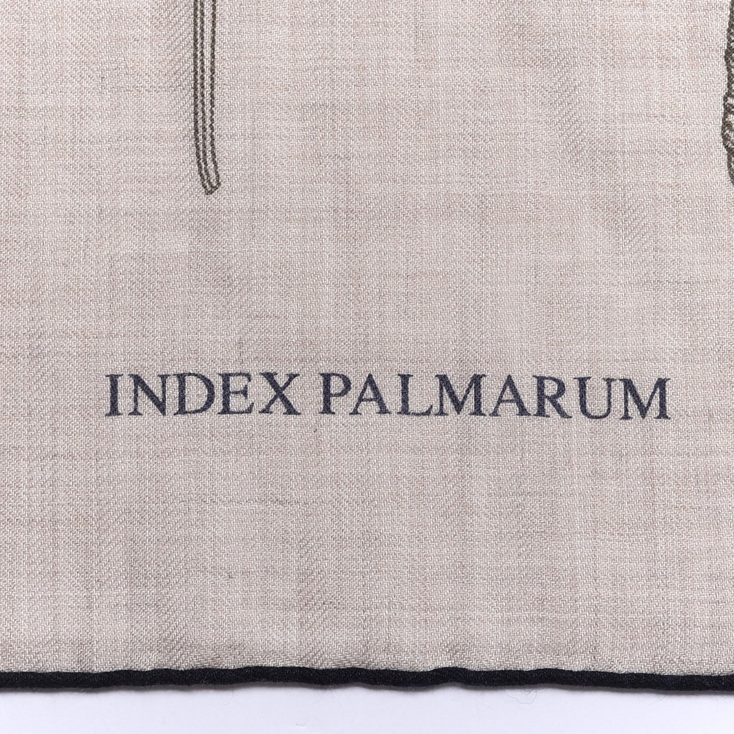Cashmere Silk Index Palmarum Finesse Shawl 140 Naturel Bleu