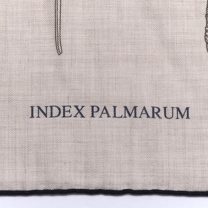 Hermes Cashmere Silk Index Palmarum Finesse Shawl 140 Naturel Bleu 3 of 5