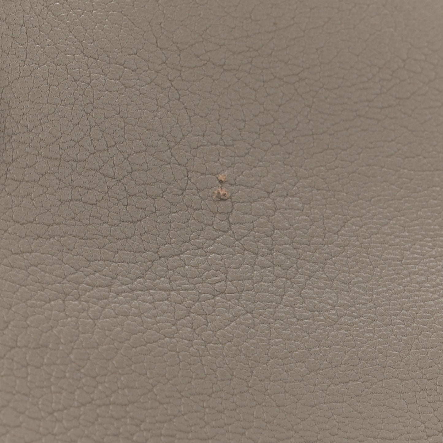 Chevre Silver Metallic Edge Hardware City Gris Taupe