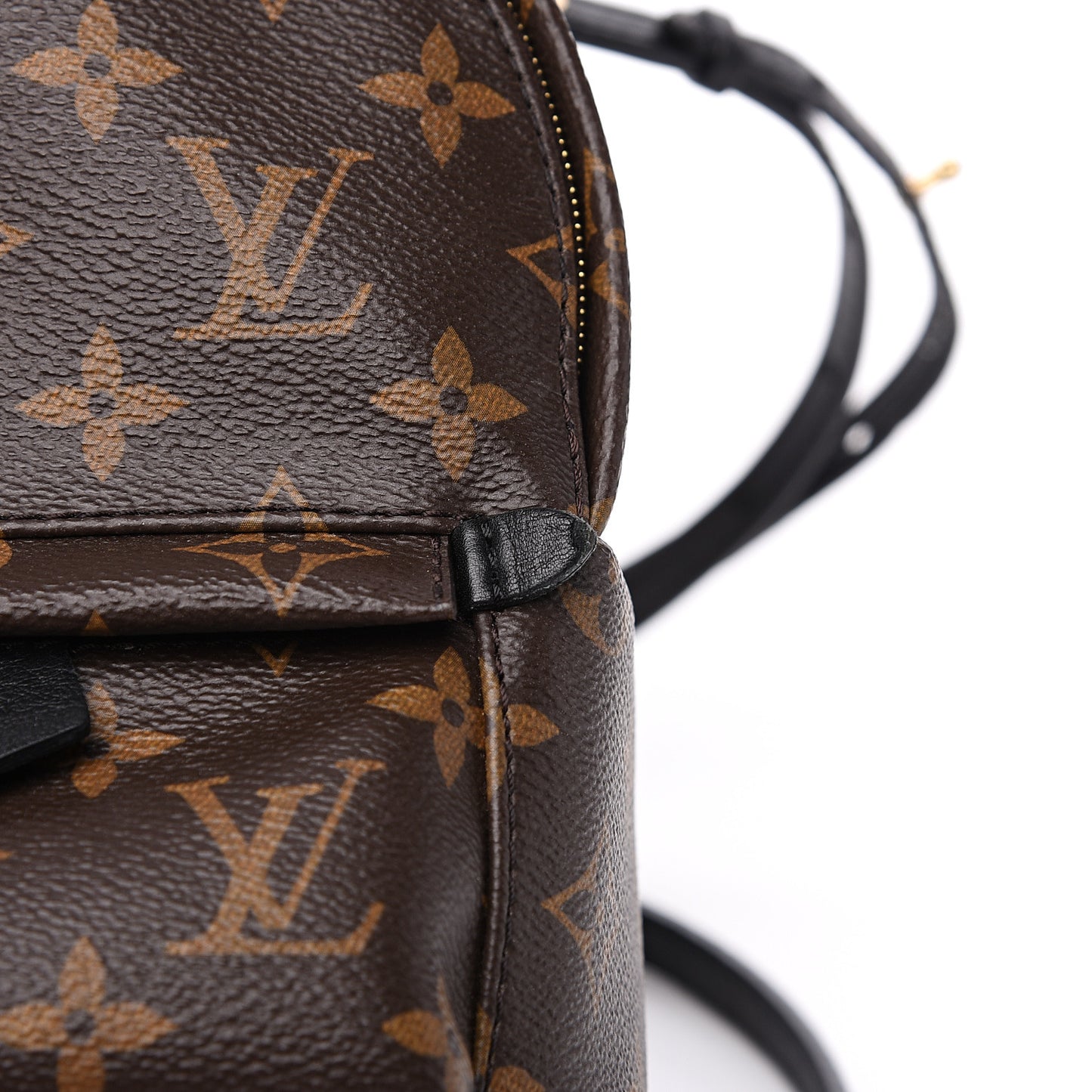 Monogram Palm Springs Backpack Mini