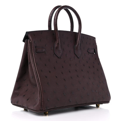 Hermes Ostrich Birkin 25 Rouge Sellier 3 of 10