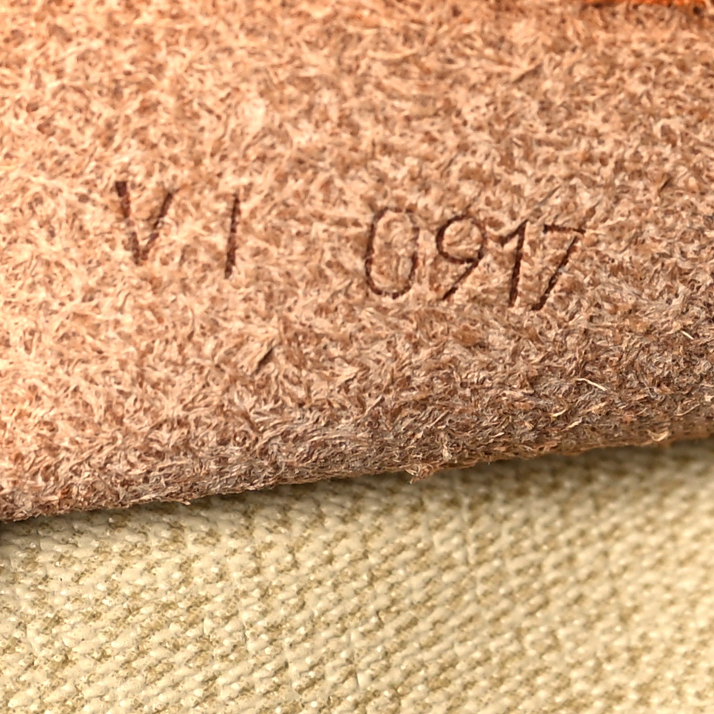 Monogram Excursion Shoe Bag