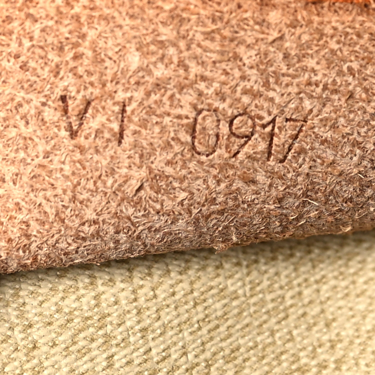 Louis Vuitton Monogram Excursion Shoe Bag 8 of 14