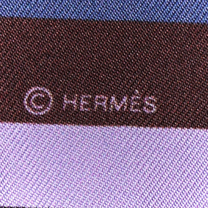 Hermes Silk Swimmers Twilly 4 of 4