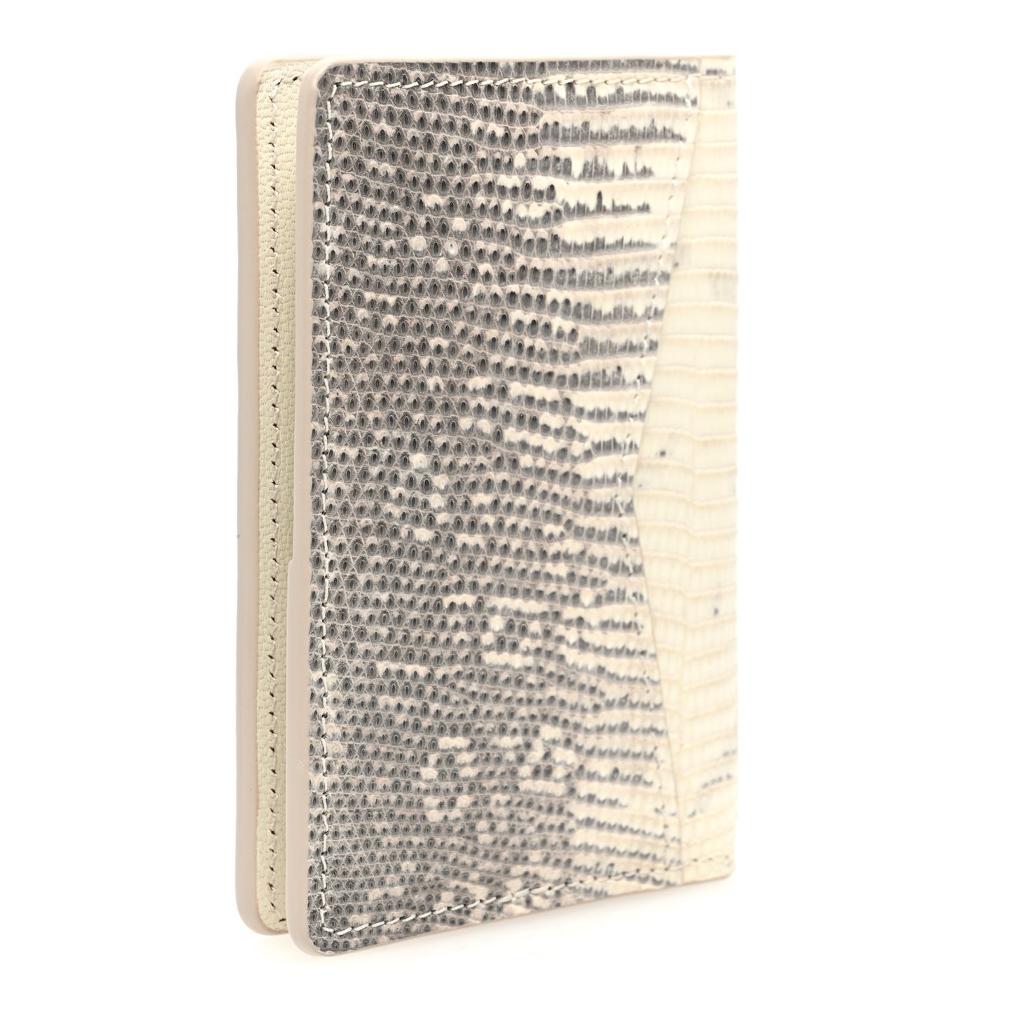 Lizard Pocket Organizer Argento