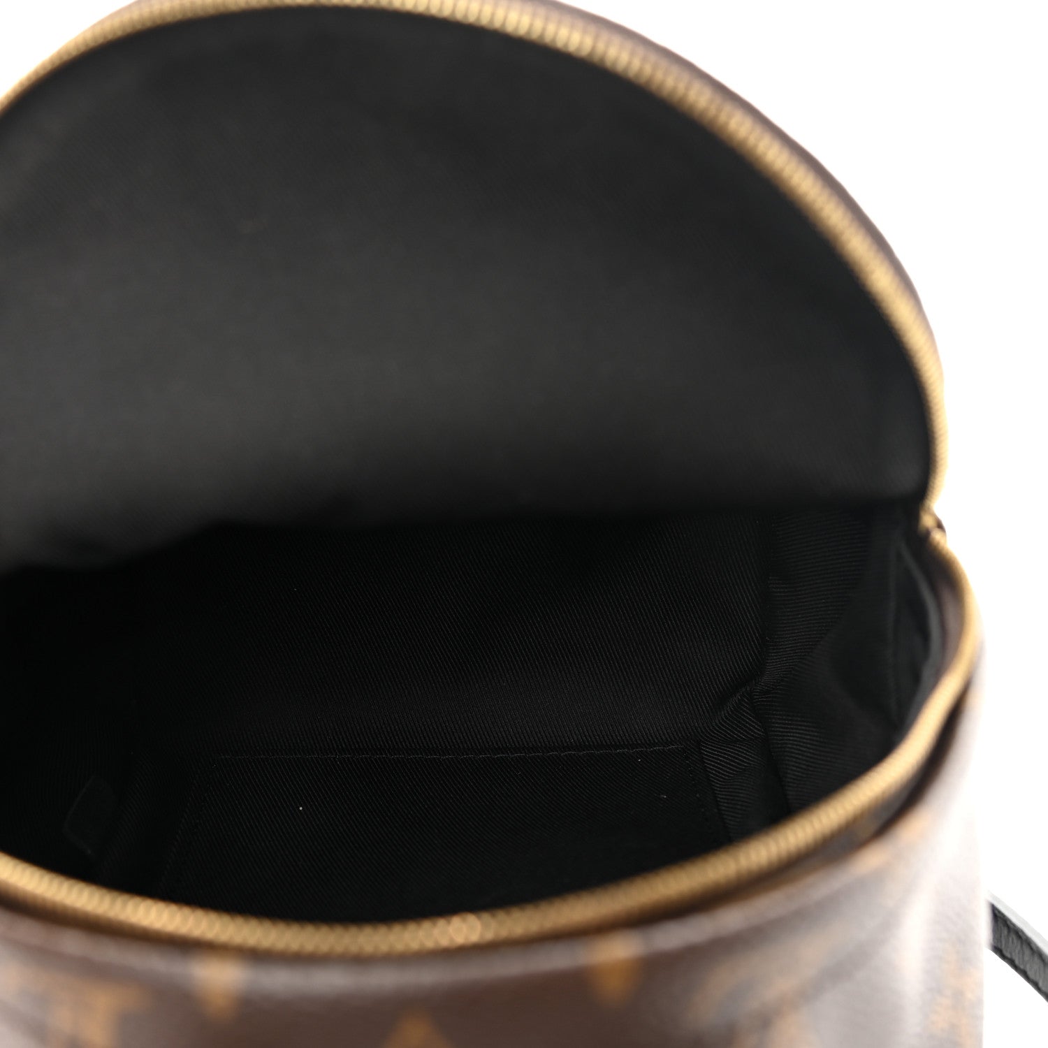Louis Vuitton Monogram Palm Springs Backpack Mini 5 of 16