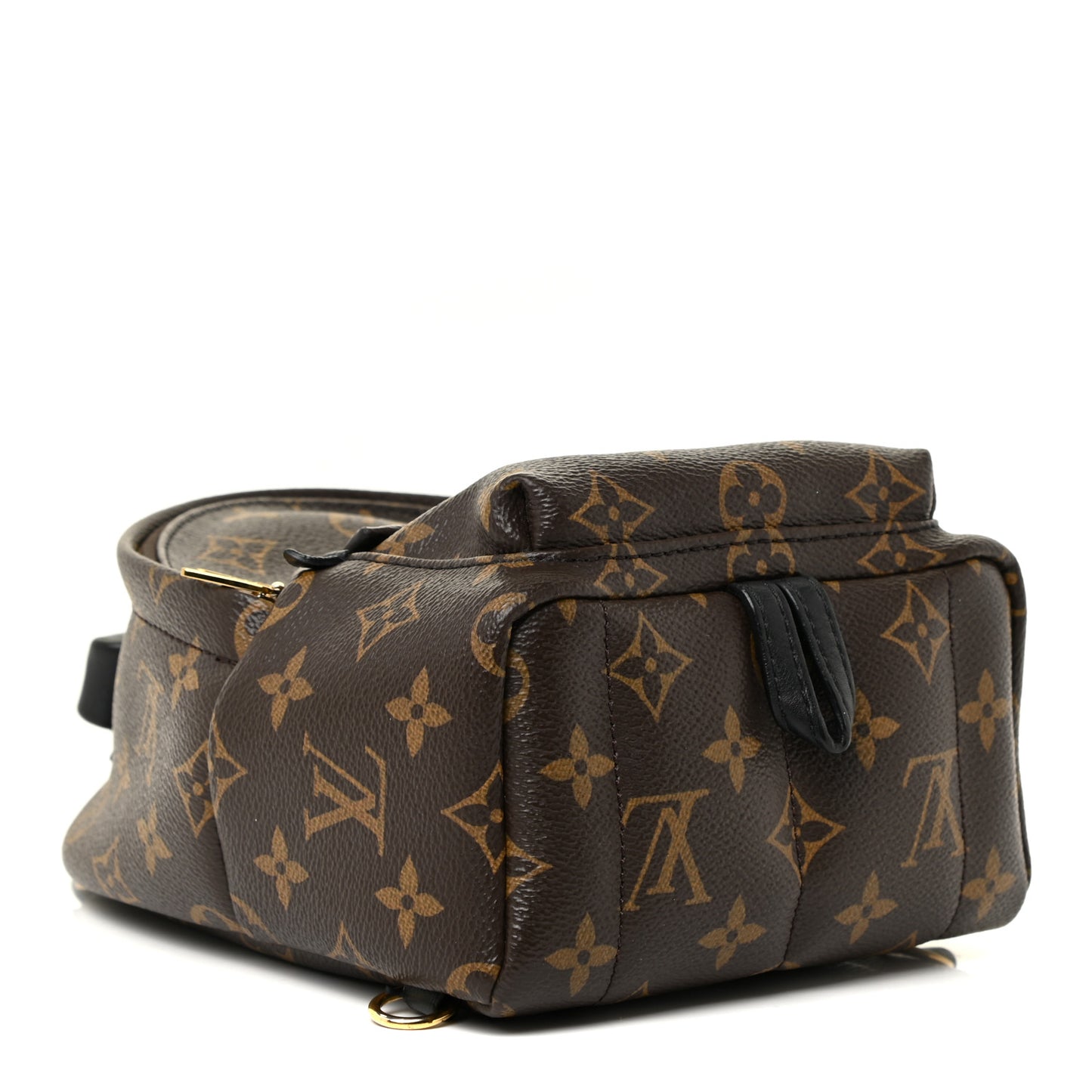 Monogram Palm Springs Backpack Mini