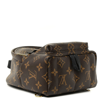 Louis Vuitton Monogram Palm Springs Backpack Mini 4 of 13