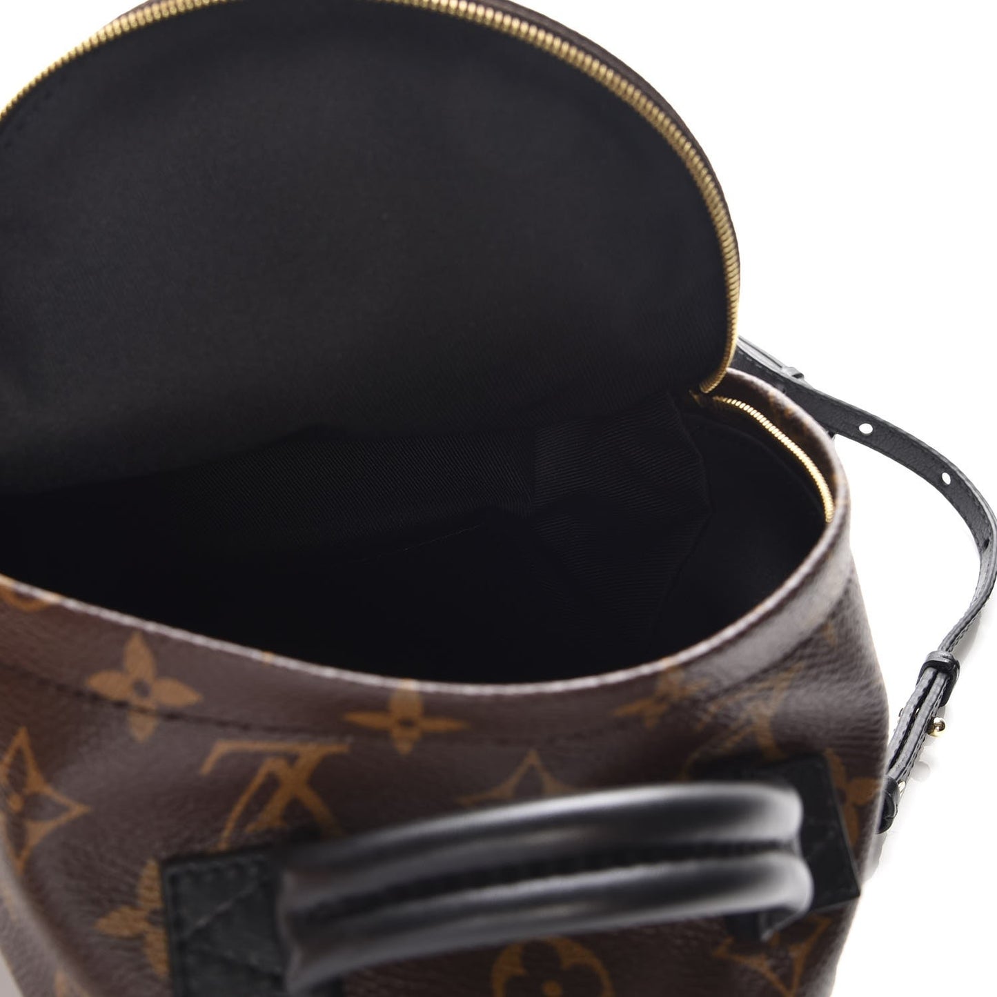 Monogram Palm Springs Backpack Mini