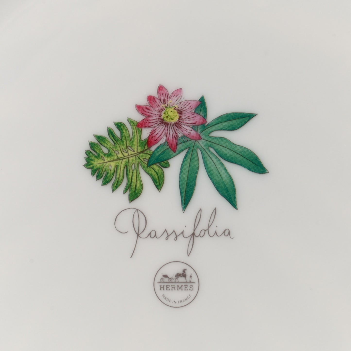 Porcelain Passifolia Dinner Plate N°2 Set of 2