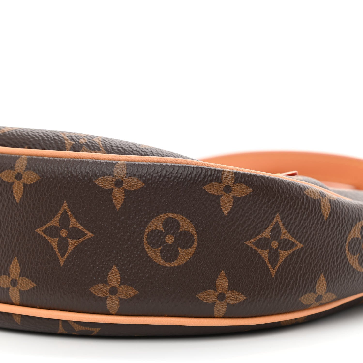 Louis Vuitton Monogram Loop 9 of 10