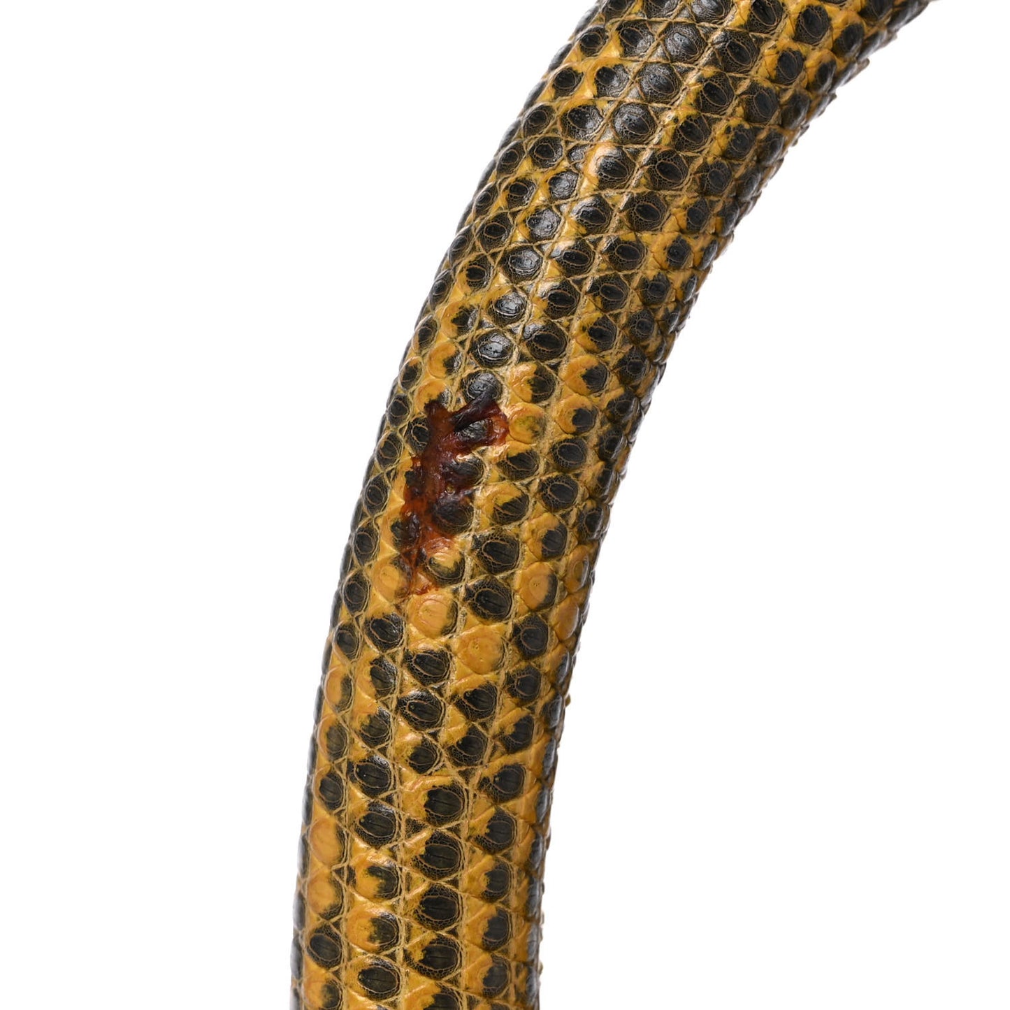 Caviar Lizard Mini Coco Handle Flap Yellow