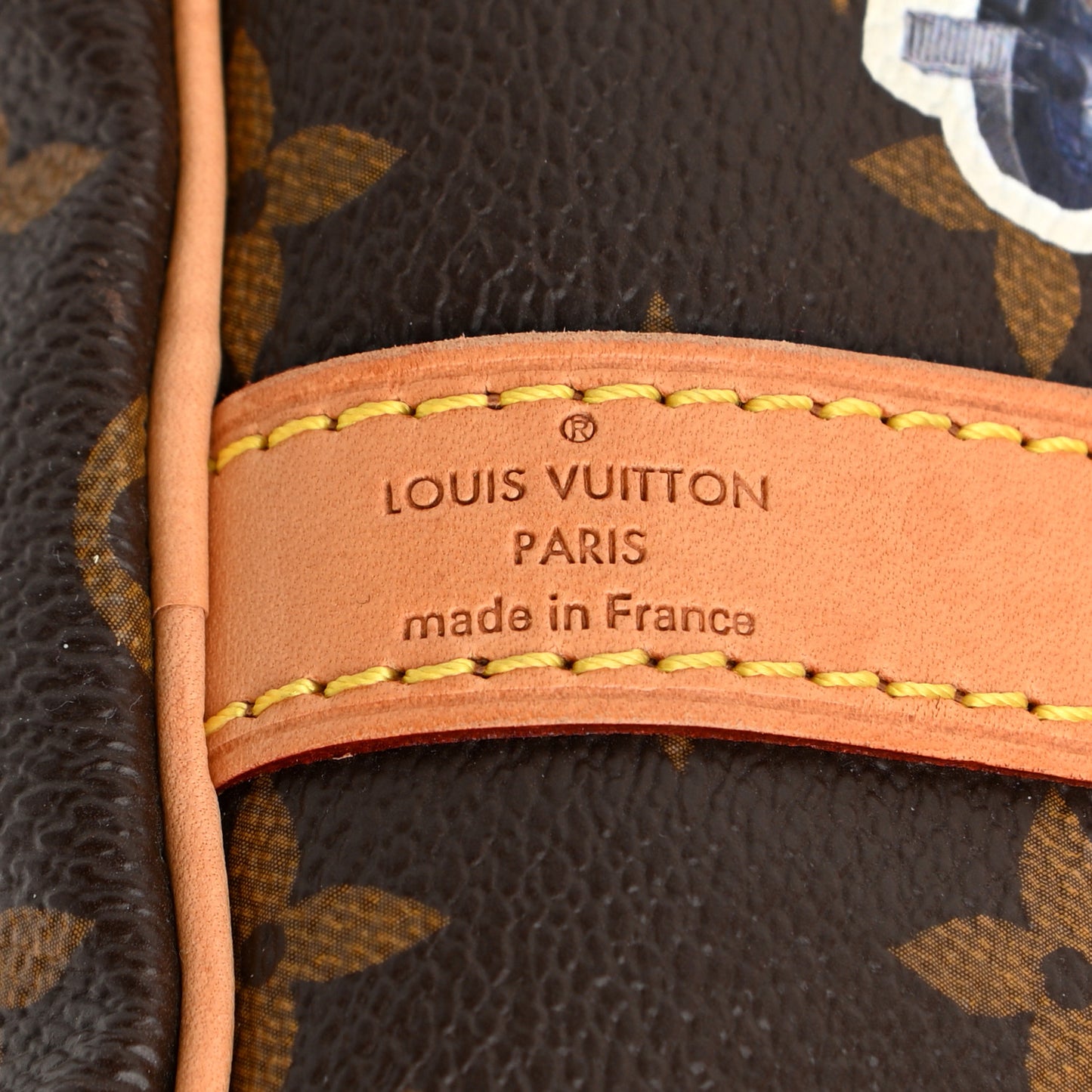 Monogram World Tour Speedy Bandouliere 30