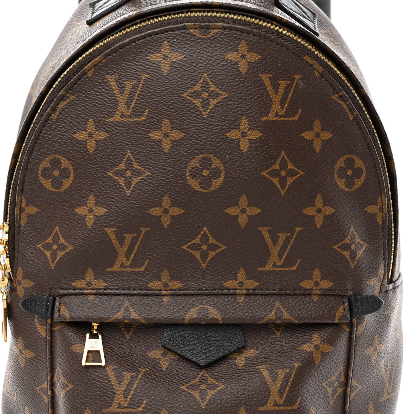 Monogram Palm Springs Backpack PM