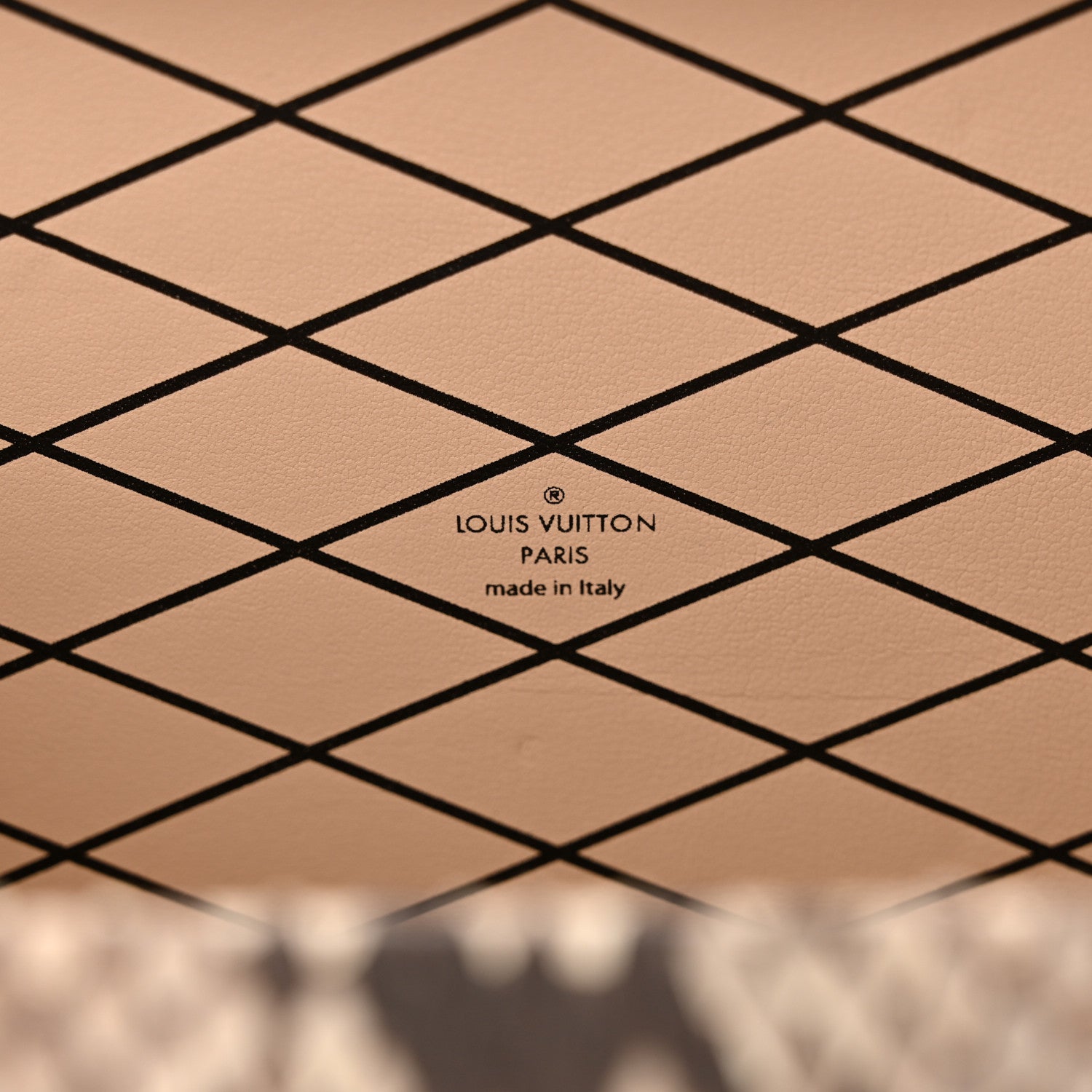 Louis Vuitton Snakeskin Petite Malle 6 of 12