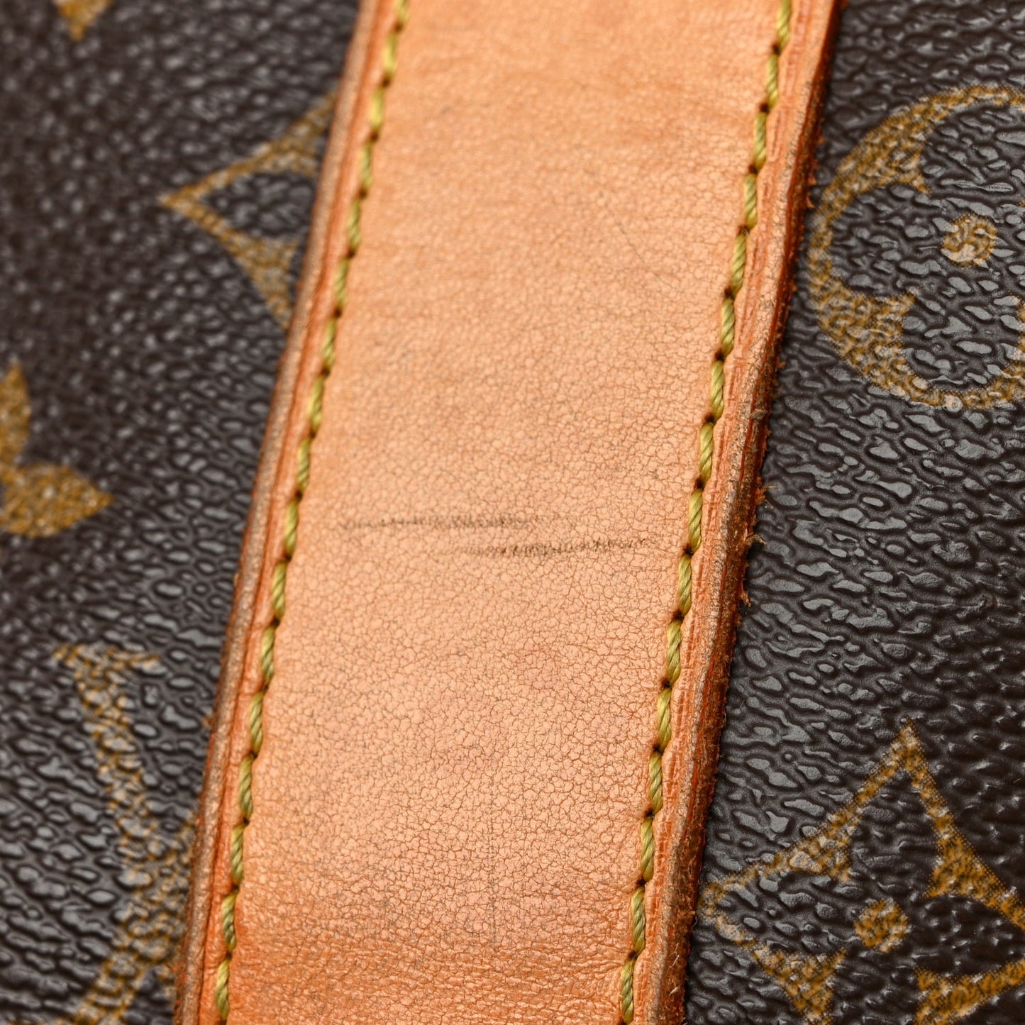 Monogram Carryall