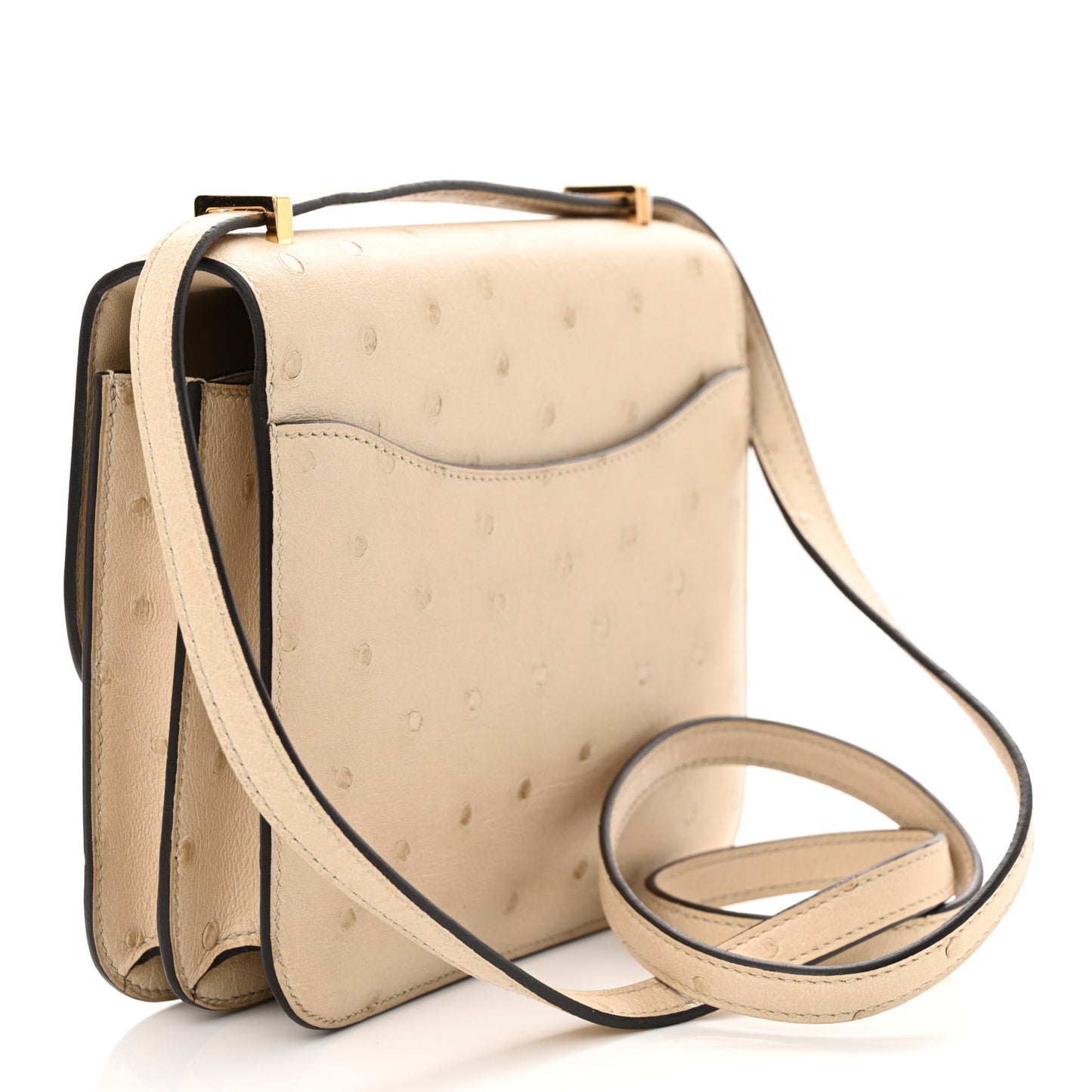 Ostrich Constance 18 Parchemin