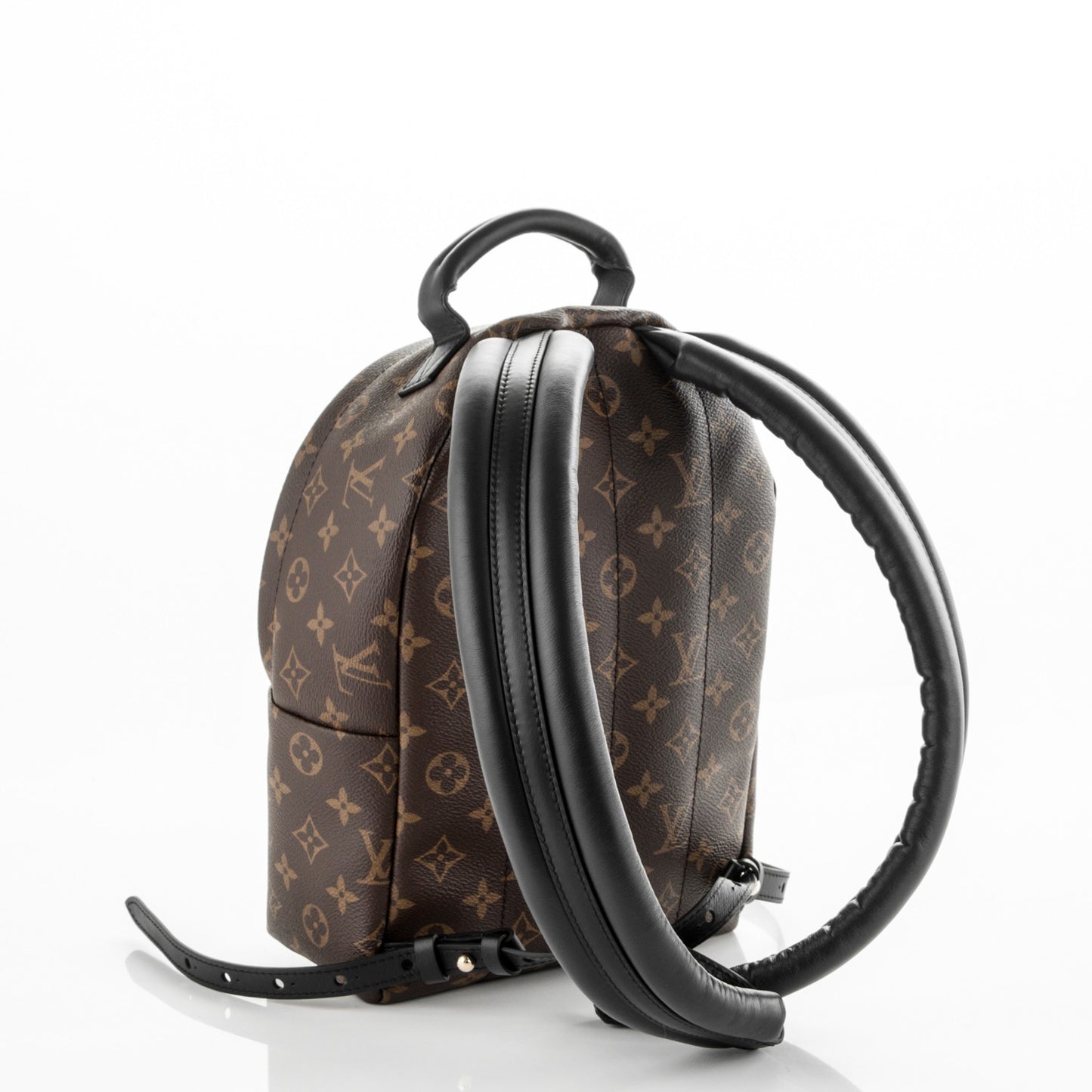 Monogram Palm Springs Backpack PM