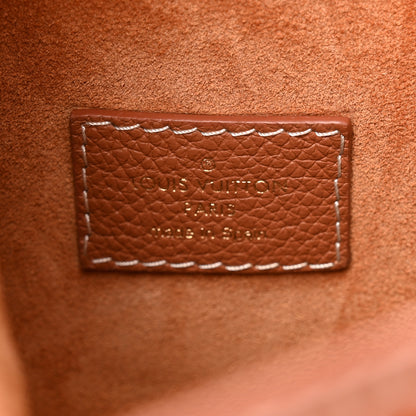 Louis Vuitton Grained Calfskin Low Key Hobo PM Cognac 7 of 12