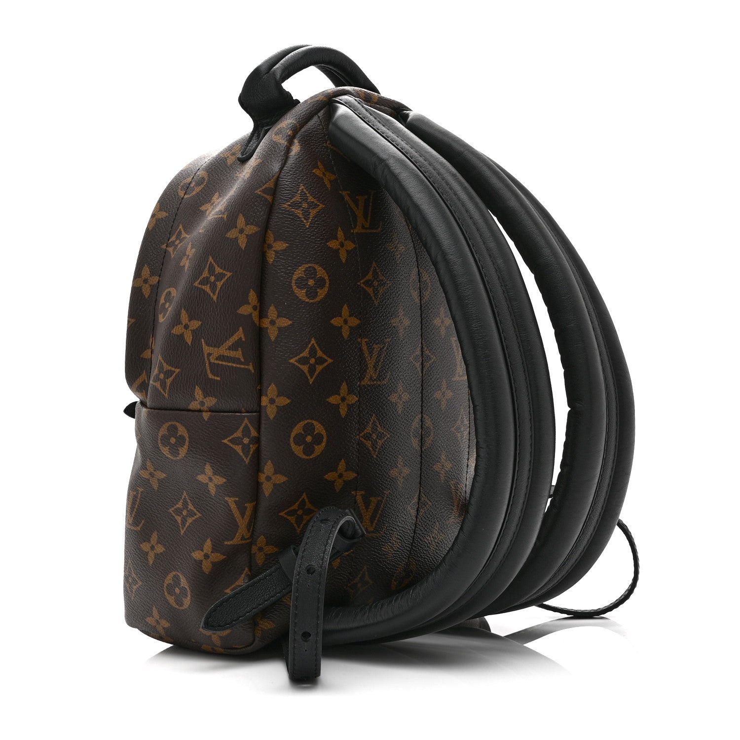 Louis Vuitton Monogram Palm Springs Backpack PM 3 of 10