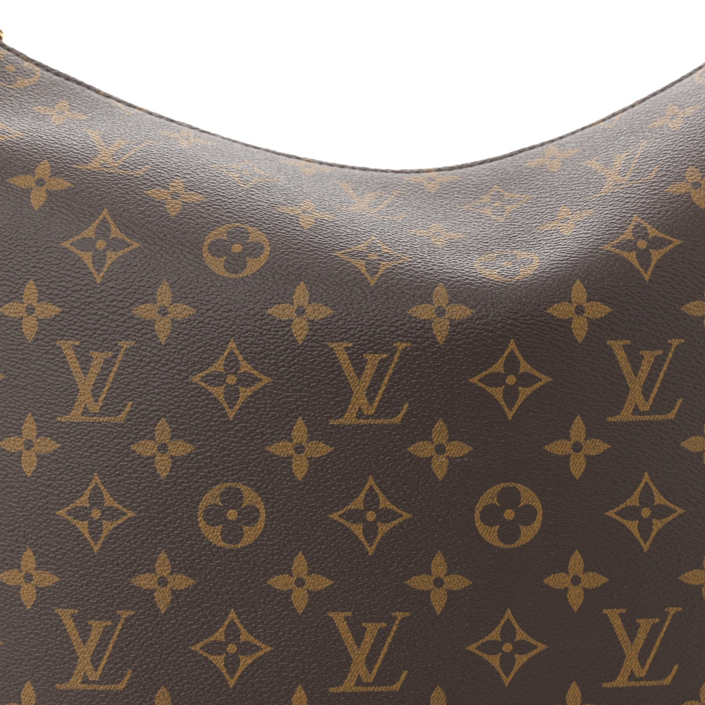 Monogram Slouchy MM