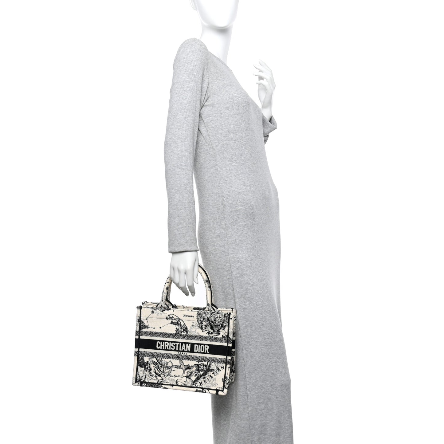Canvas Embroidered Small Zodiac Toile De Jouy Book Tote Latte