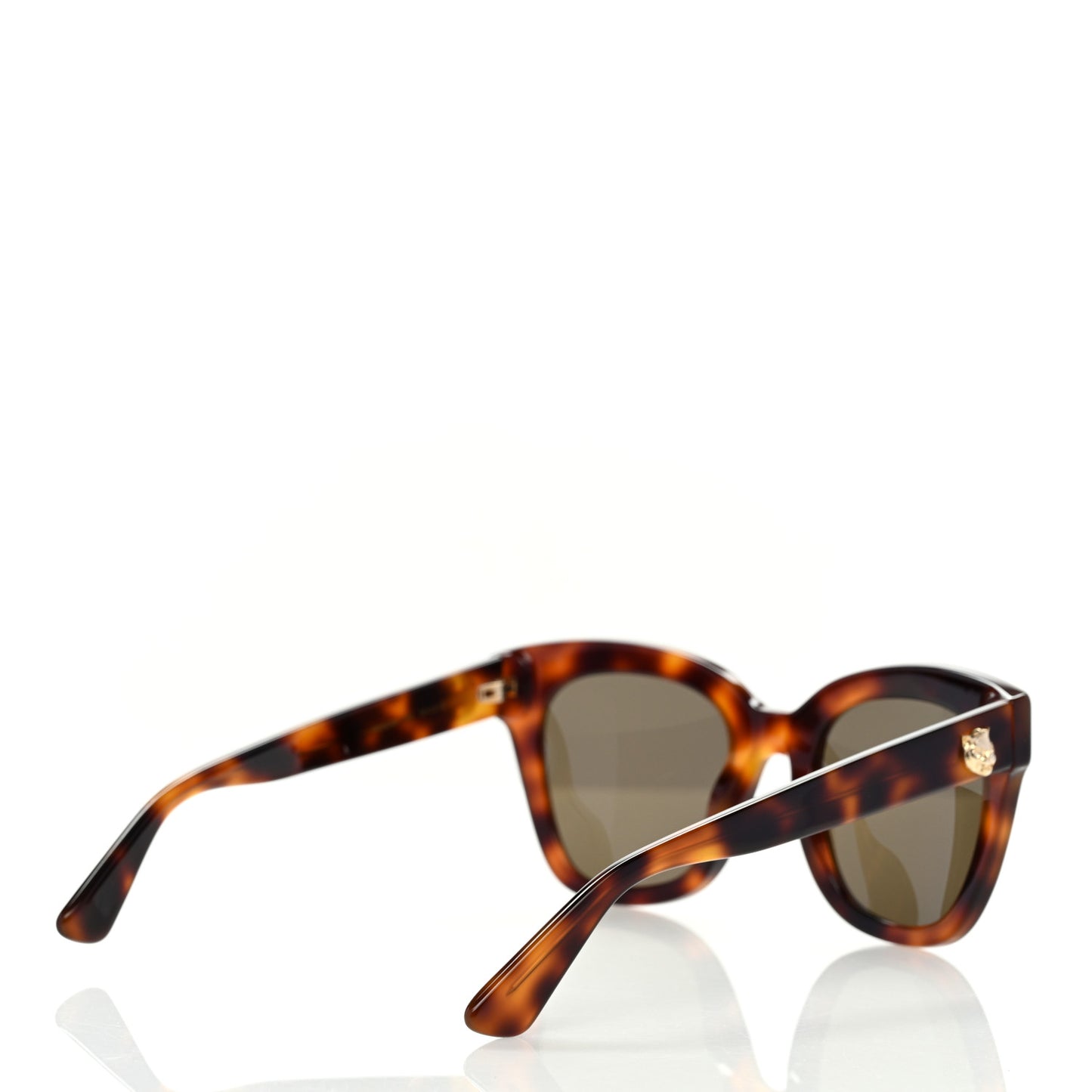 Acetate Square Frame Sunglasses GG0029S Tortoise