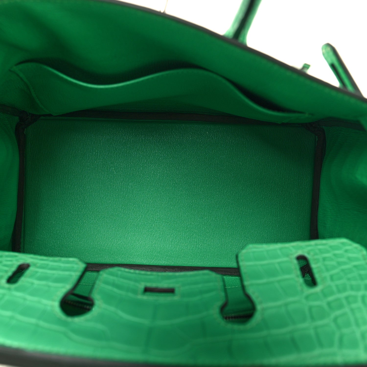 Hermes Matte Alligator Birkin 25 Vert Comics 5 of 13
