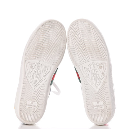 Gucci Calfskin Ayers Web Star Embroidered Womens Ace Sneakers 36 White Multi 7 of 11