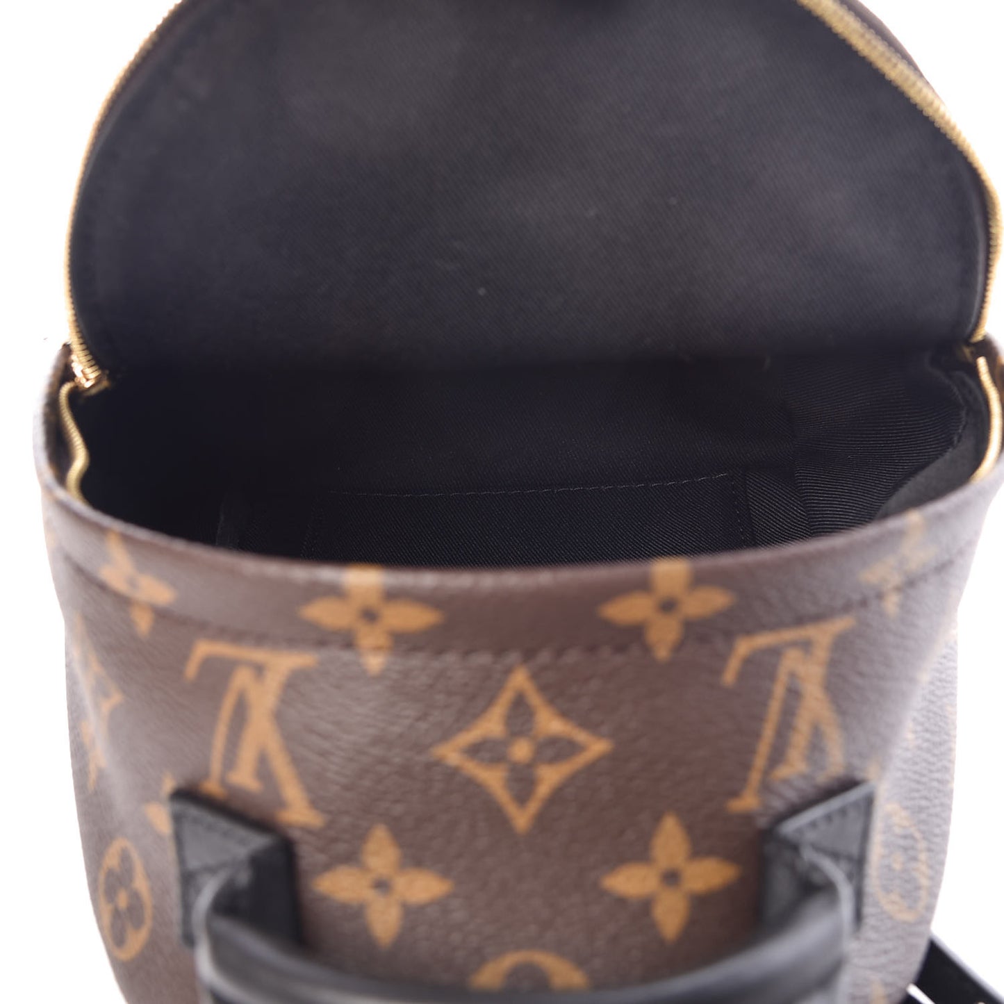Monogram Palm Springs Backpack Mini