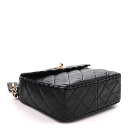Chanel Lambskin Quilted Camera Case Black 4 of 10